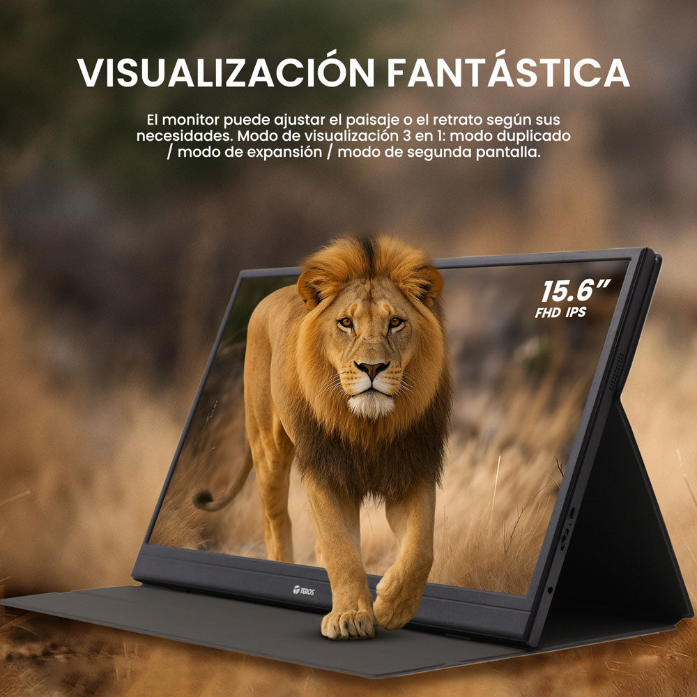 Monitor portátil TEROS 1501S - detalle puertos HDMI USB-C